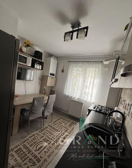Apartament cu 3 camere decomandat, mobilat în Mănăștur
