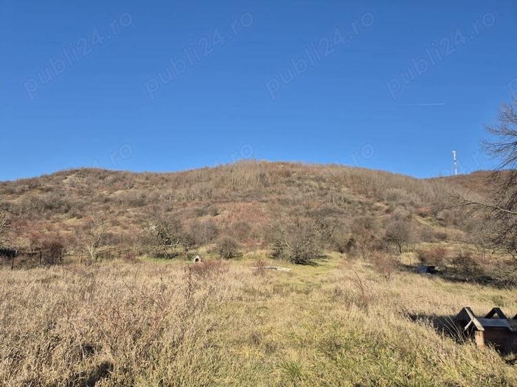 Teren de 3000 mp, în Aninoasa