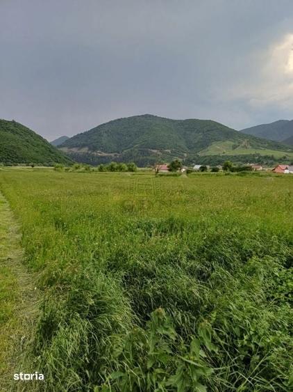 TEREN INTRAVILAN DE VANZARE BOI?A | 3.477 MP | LA DOAR 700 M DE N - 2