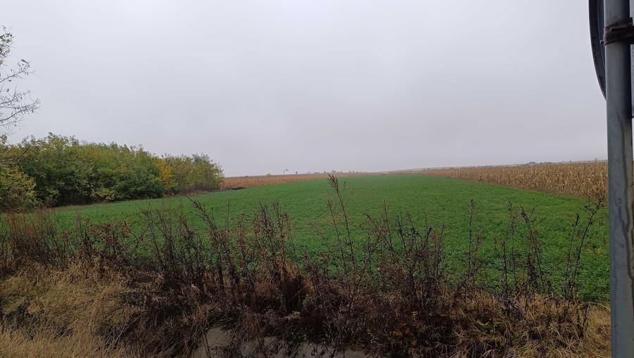 Teren de 6200 mp, în Luizi-Călugăra