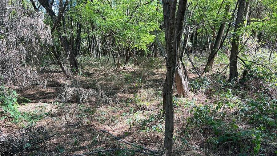 Teren extravilan de 3600 mp, în Bradu