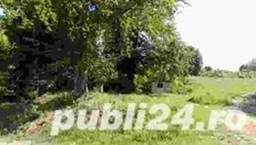 Teren de 10791 mp, în Central