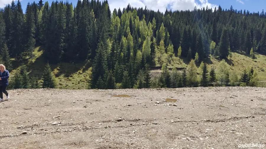 Teren de 1000 mp, în Băișoara