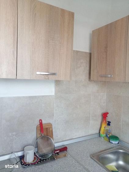 Apartament 1 camera, zona Soarelui - Buziasului - 2