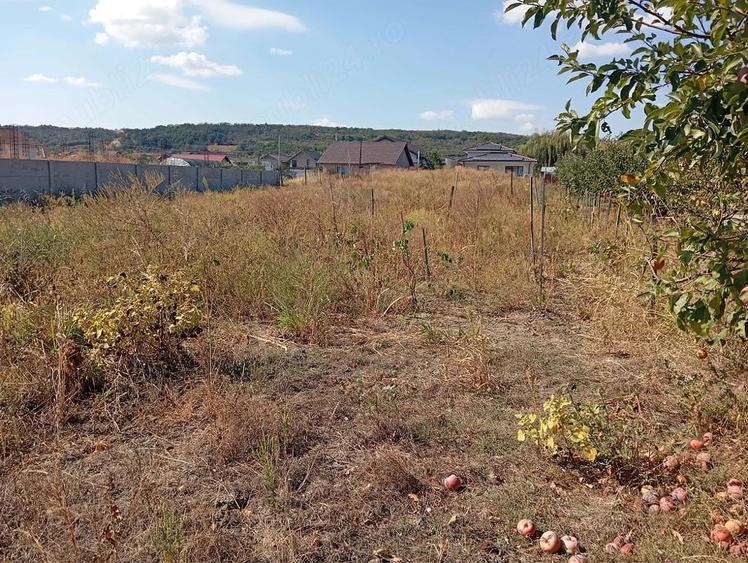 Teren de 1000 mp, în Podari