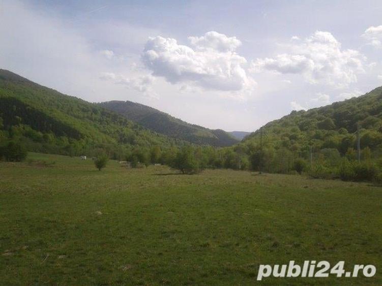 Teren deosebit zona Sebes de Brasov 11 EU - 4