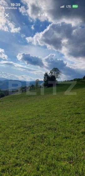 Teren Construcții intravilan de 4500 mp, în Ponorel