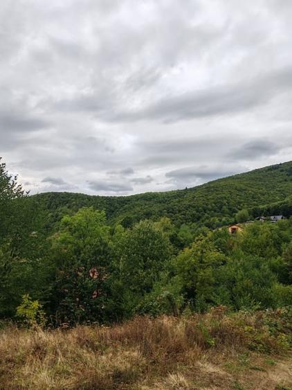Teren Construcții intravilan de 6476 mp, în Ulmoasa