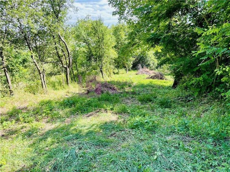 Teren Construcții intravilan de 3581 mp, în Vale