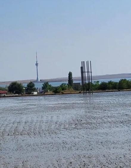 Casă cu 4 camere în Eforie