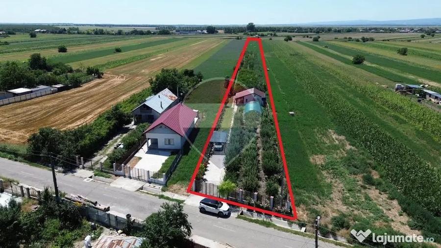 Casă cu 2 camere cu Teren 6943 Mp în Gologanu