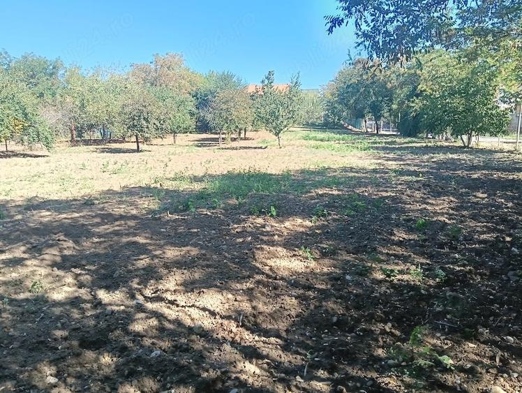 Teren de 1200 mp, în Păulești