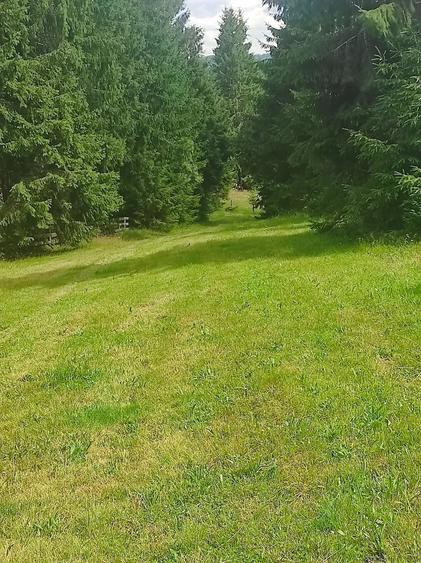 Teren de 3000 mp, în Beliș
