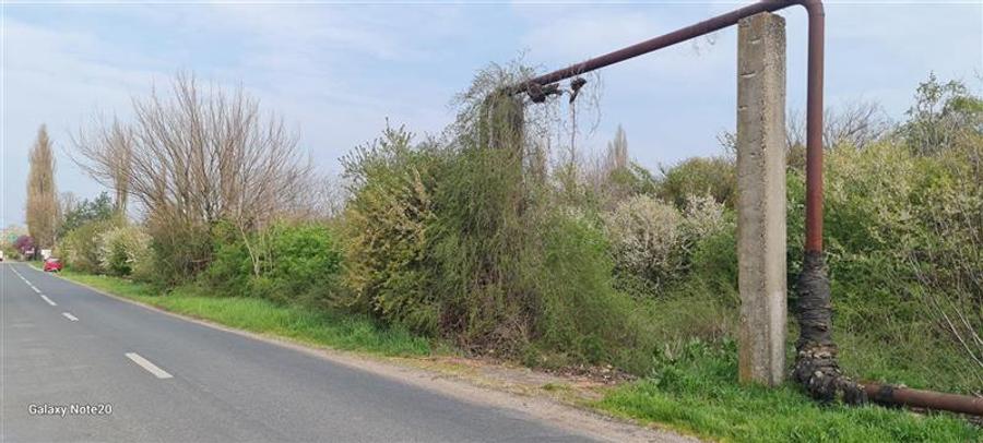 Teren agricol intravilan de 2500 mp, în Dorobanți