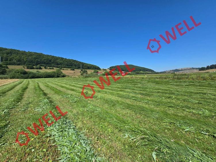 Teren extravilan de 3450 mp, în Valea Mare
