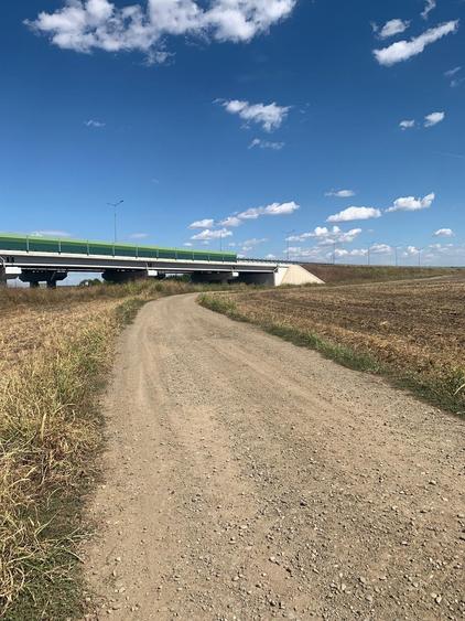 Teren agricol intravilan de 4000 mp, în Dimieni