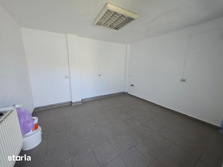 Casă cu 8 camere cu Teren 500 Mp în Elisabetin