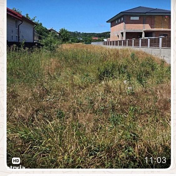Teren de 3003 mp, în Schiau