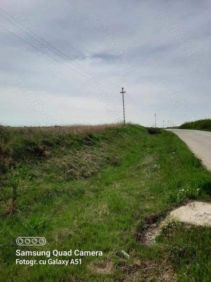 Teren de 5000 mp, în Pielești