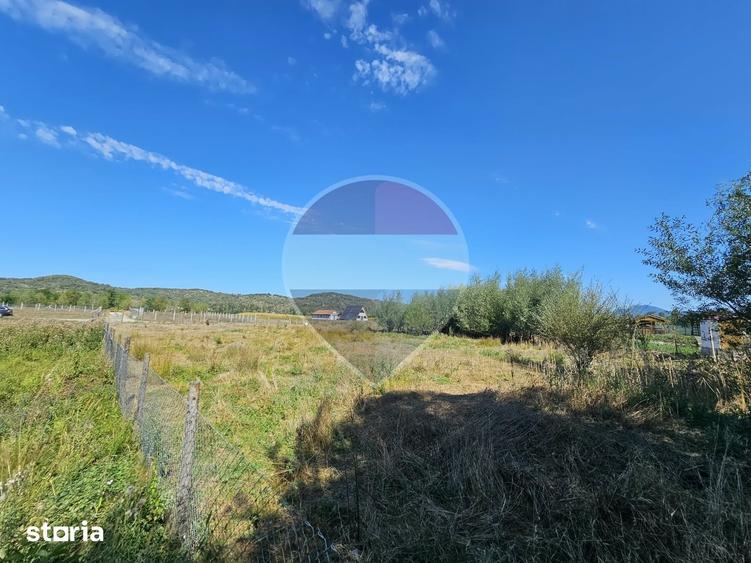 Teren de 3000 mp, în Bocicoiu Mare