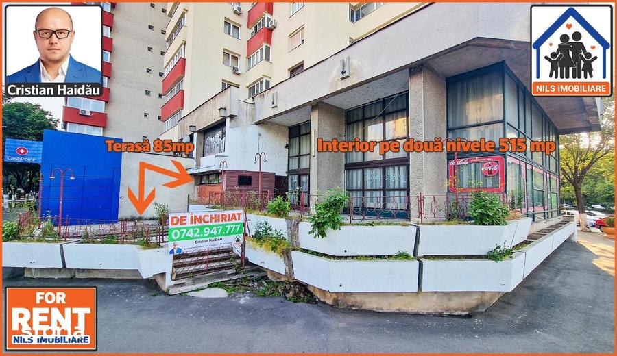 Spațiu comercial, de 450 mp, în Berceni