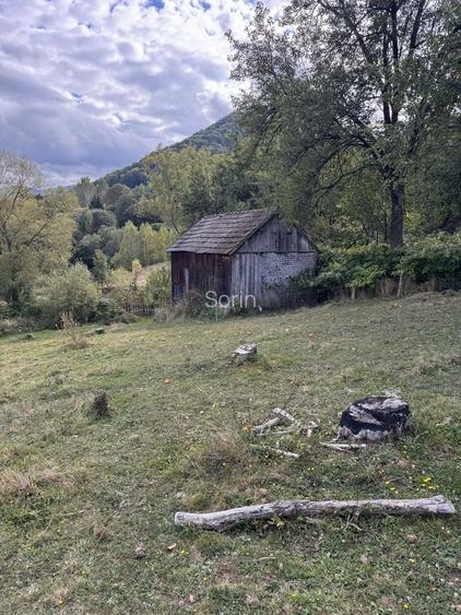 Particular vand casa, anexe , teren intravilan , , zona centrala .