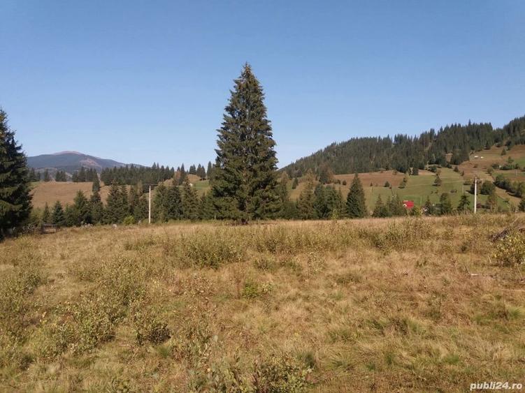 Teren de 21500 mp, în Ortoaia