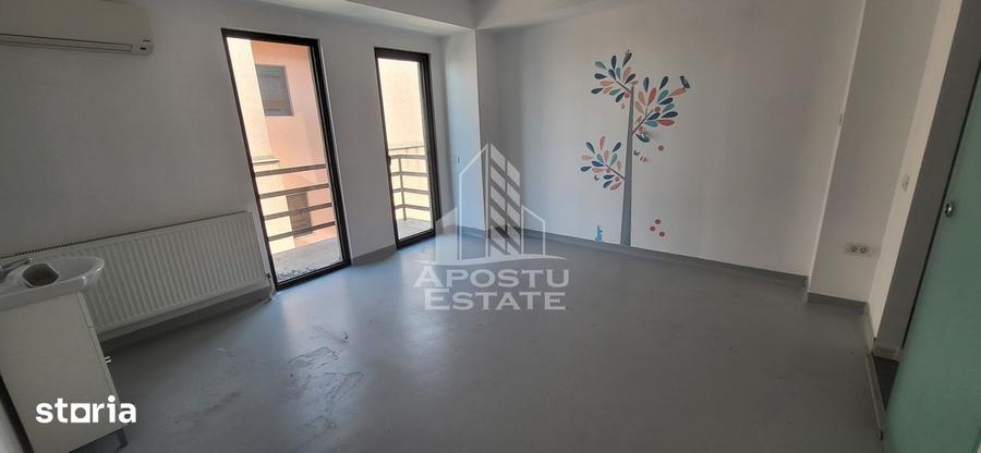 Spatiu comercial de inchiriat, 221 mp, centru Dumbravita - 10