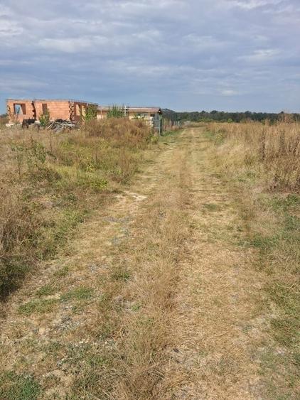 Teren de 1367 mp, în Săbăreni