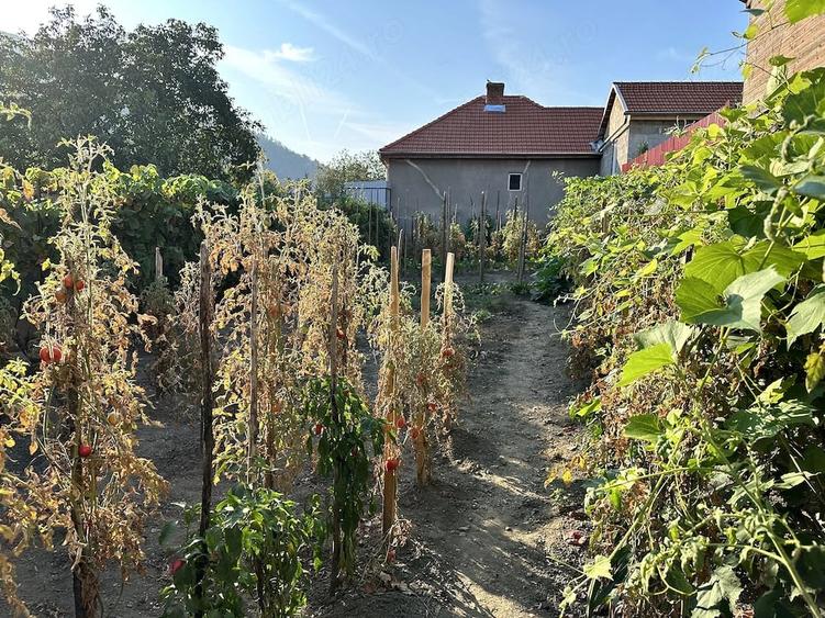 Casă cu 2 camere cu Teren 331 Mp în Central