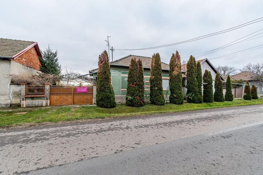 Casă individuală cu 3 camere cu Canalizare în Dorobanți