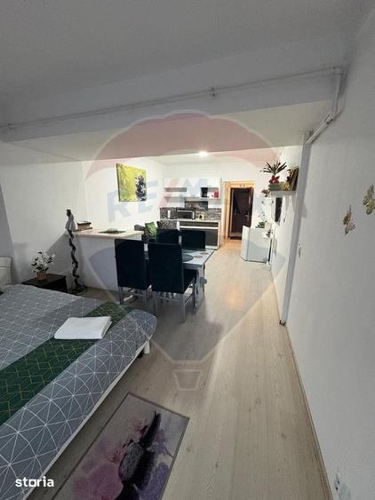 Afacere sau relaxare - studio cochet in Poiana Bra?ov - 7