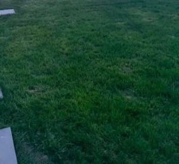 Casă cu 3 camere cu Teren 300 Mp în Central