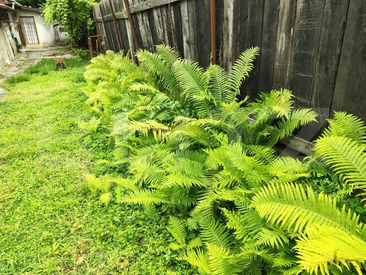 Casă individuală cu 2 camere cu Canalizare în Plopilor