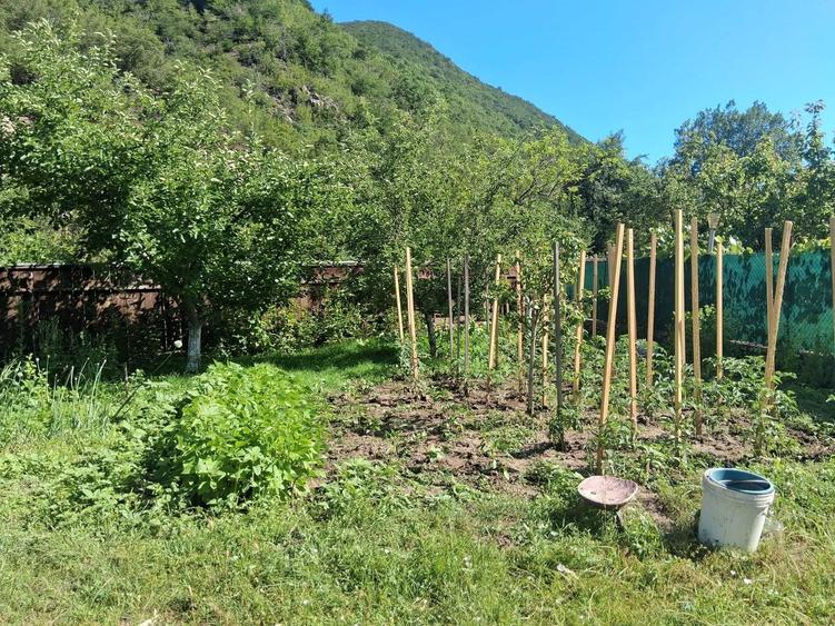 Casă cu 4 camere în Pecinișca