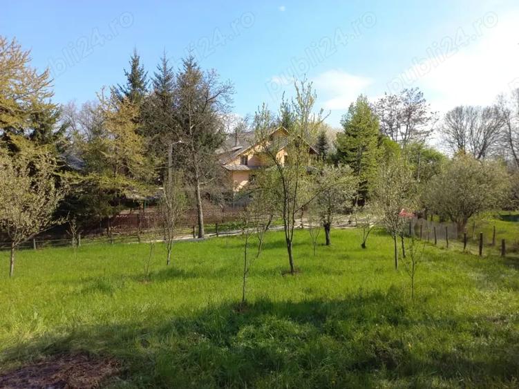 Teren de 1950 mp, în Central