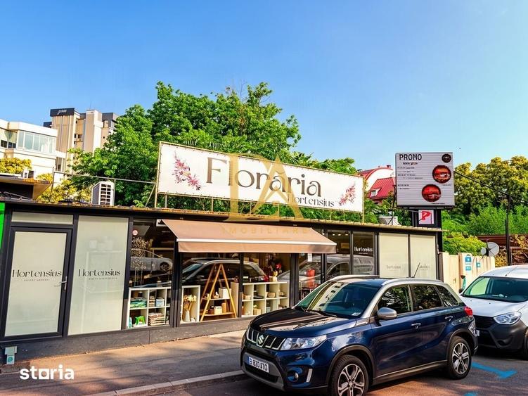 Spațiu comercial, de 10 mp, în Primăverii