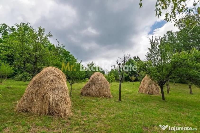 Casă cu 3 camere cu Teren 6290 Mp în Corbi