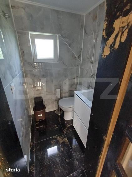 Teren intravilan 60 ari cu iaz si cabana, zona Ilisesti - 10