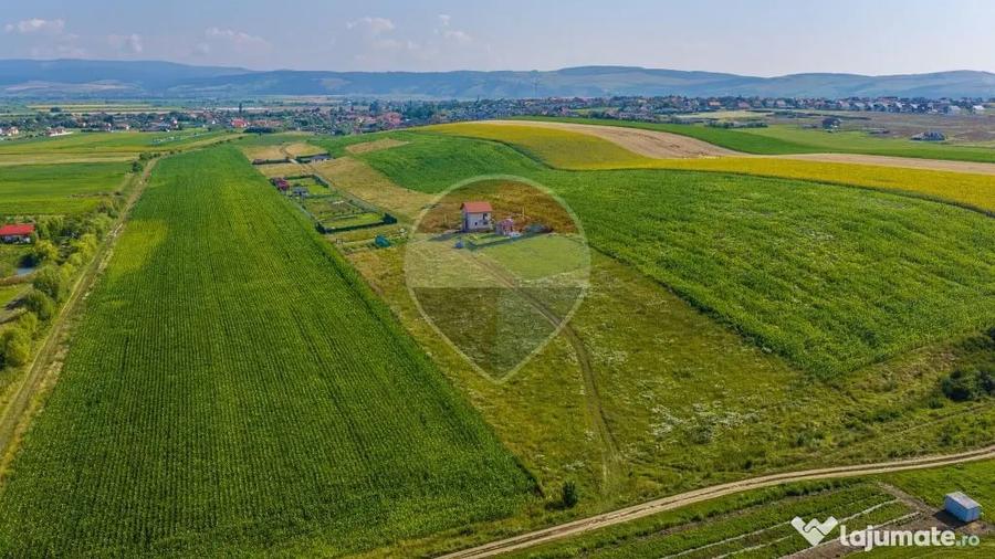 Teren în Bod