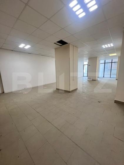 Spațiu comercial, de 160 mp, în Iosefin