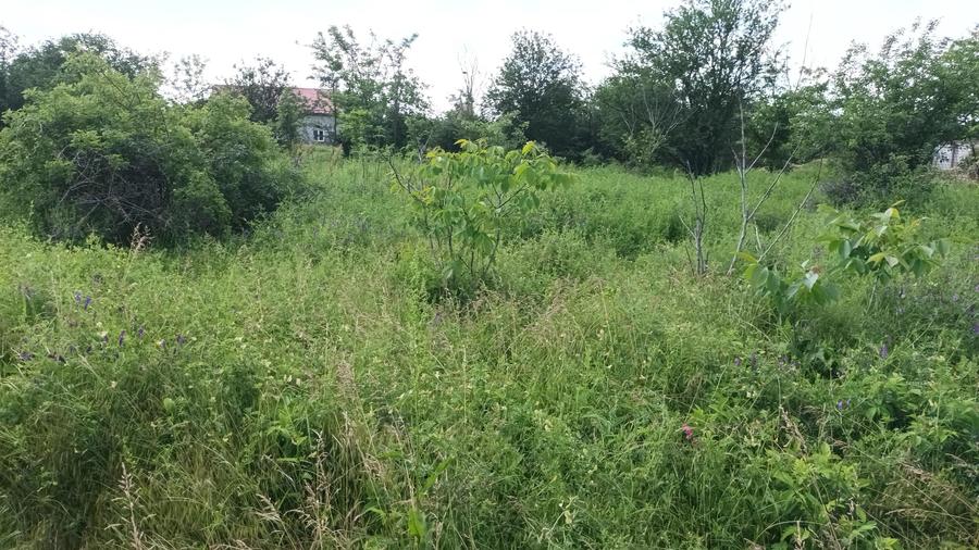 Teren Construcții intravilan de 828 mp, în Domnești