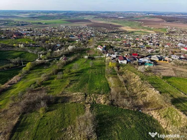 COMISION 0% - Teren intravilan 2091 mp, Mogosesti, Iasi - 1