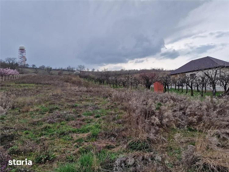 Teren de 498 mp, în Oncea