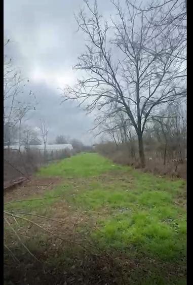 Teren Construcții intravilan de 1623 mp, în Bolintin-Vale