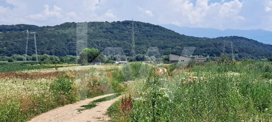 Teren agricol extravilan de 500 mp, în Șelimbăr