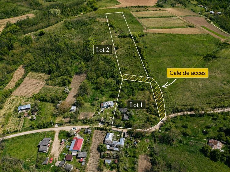Casă individuală cu 3 camere cu Teren 7391 Mp în Gorghești