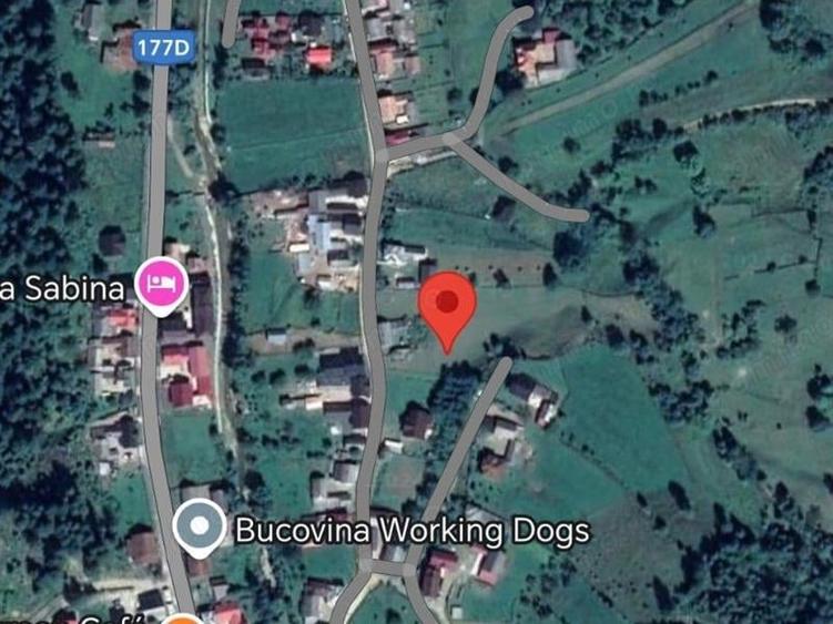 Teren Construcții intravilan de 6500 mp, în Voroneț