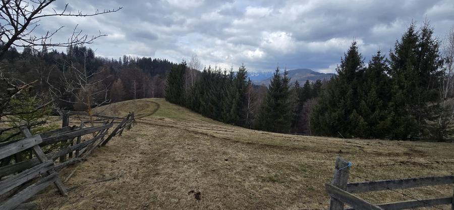 Teren Construcții intravilan de 3040 mp, în Bran