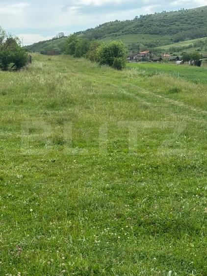 Teren Construcții intravilan de 2900 mp, în Exterior Sud